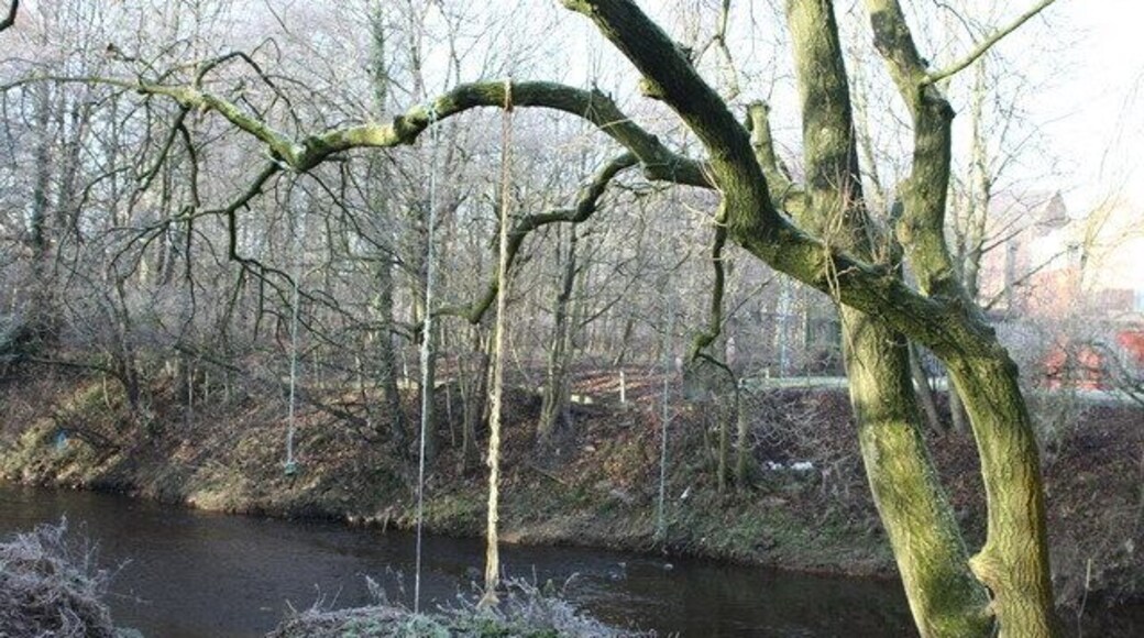 Hang 'em High Local youngsters "Tarzan ropes" over a side branch of the River Wyre. The consequences of a fall involve mud, water and unfriendly seasonal vegetation.