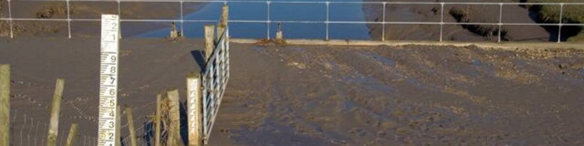 The Pilling Water Looking north across Pilling Marsh
