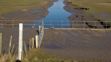 Une rivière bordée d’une clôture en bois et où se trouve un poteau de mesure.