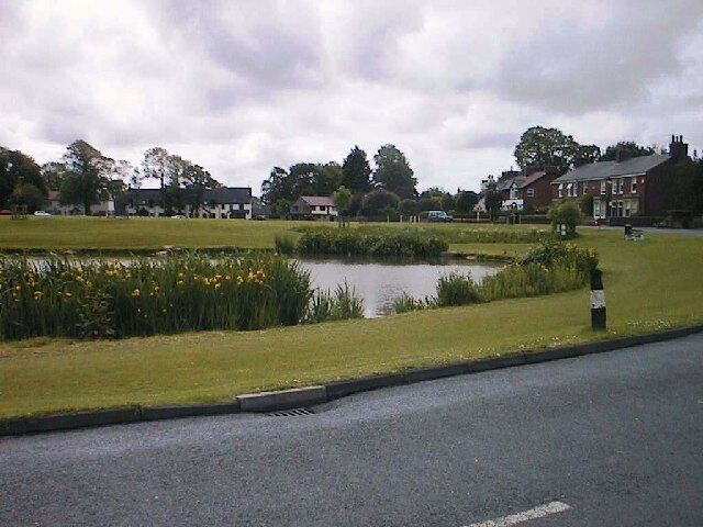 Wrea Green Duck Pond. In the heart of Wrea Green, full of wildlife.
