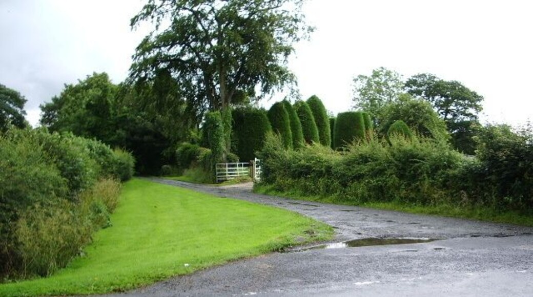 The road to Church House