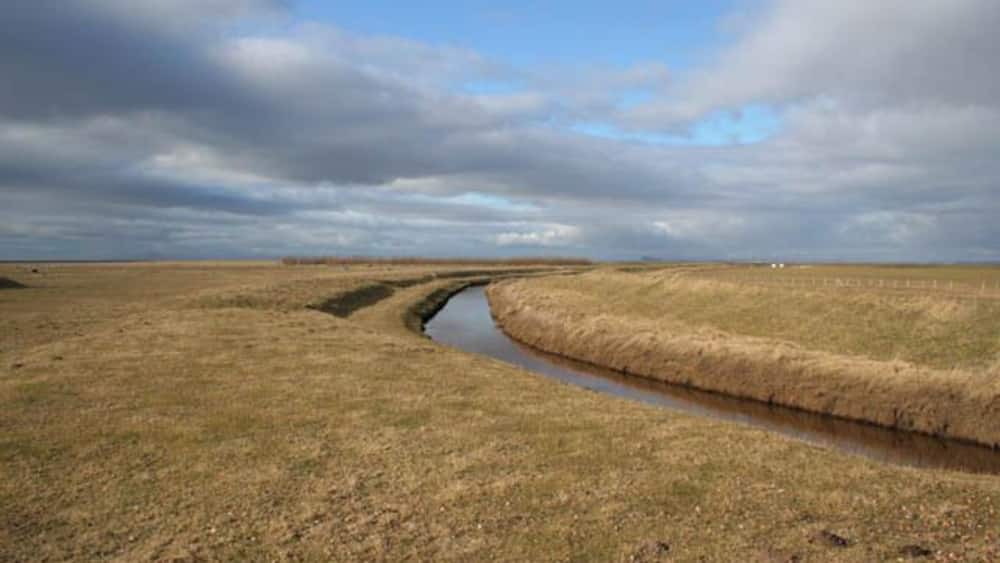 A river meandering through a flat, grassy landscape under a cloudy sky.