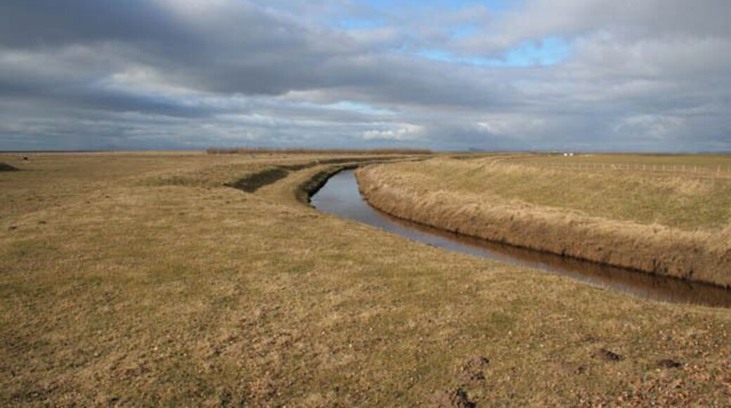 Farmland near Pilling Marsh Looking towards Pilling Marsh from Broadfleet Bridge. This low lying farmland is protected from the sea by extensive sea defences and drained by a network of dykes. Here the water of Broad Fleet is hemmed in by flood banks.