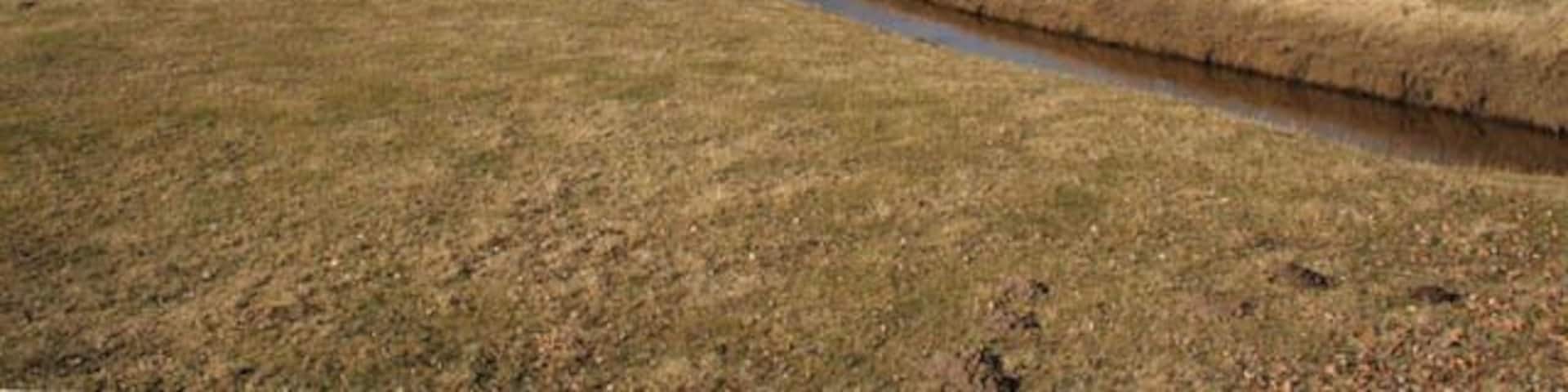 Farmland near Pilling Marsh Looking towards Pilling Marsh from Broadfleet Bridge. This low lying farmland is protected from the sea by extensive sea defences and drained by a network of dykes. Here the water of Broad Fleet is hemmed in by flood banks.