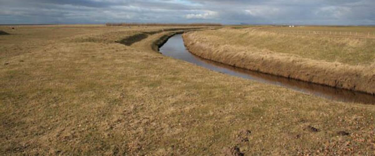 A river meandering through a flat, grassy landscape under a cloudy sky.