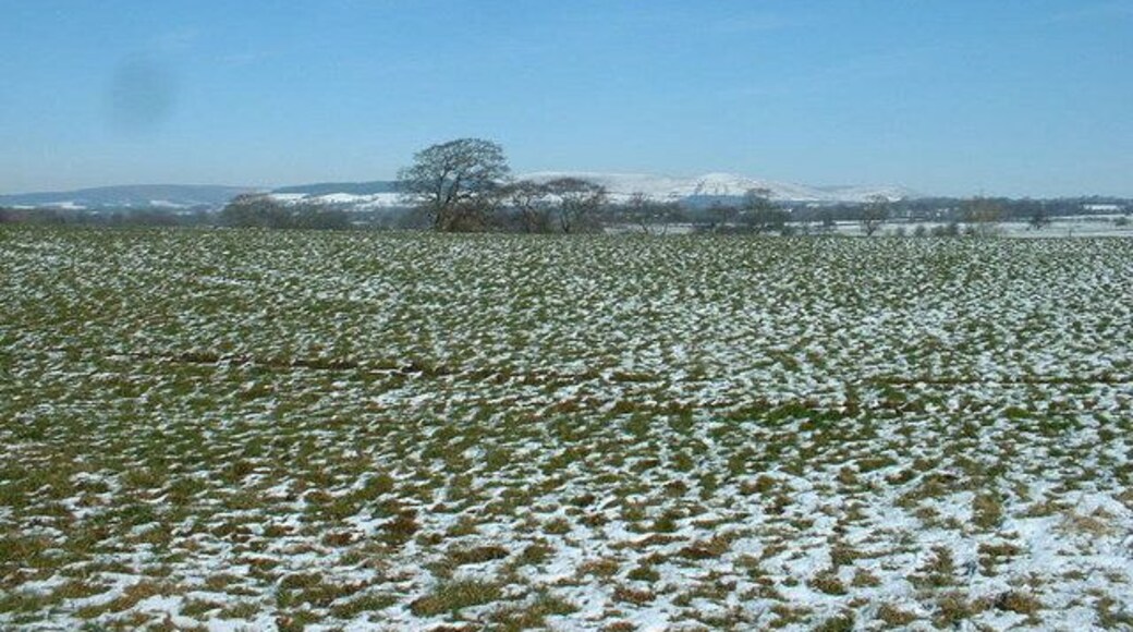 Farmland near Goosnargh Looking north.
