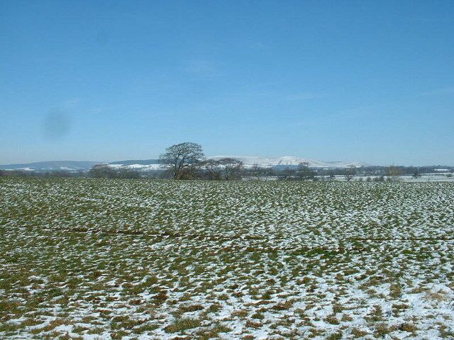 A snow-covered field with a clear blue sky and distant mountains.