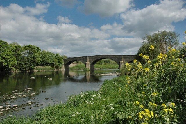 A stone bridge over a river with greenery and yellow flowers around.