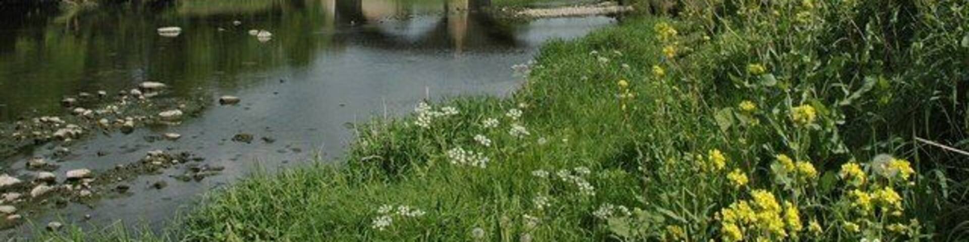 A stone bridge over a river with greenery and yellow flowers around.