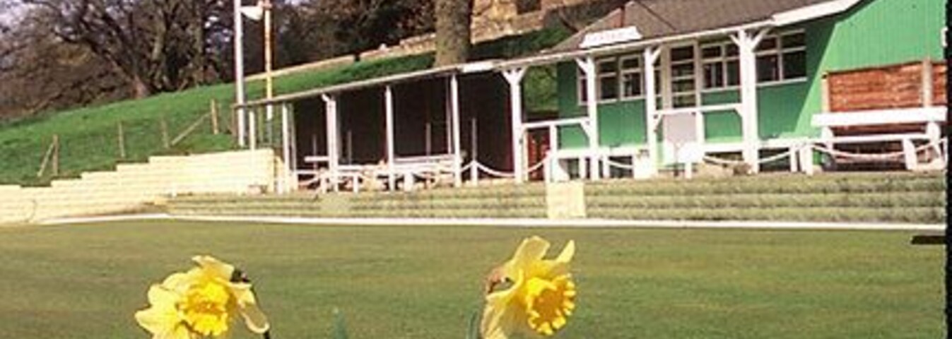 Un espacio cubierto de césped con narcisos al frente, una iglesia con un campanario alto, y un edificio verde al fondo.