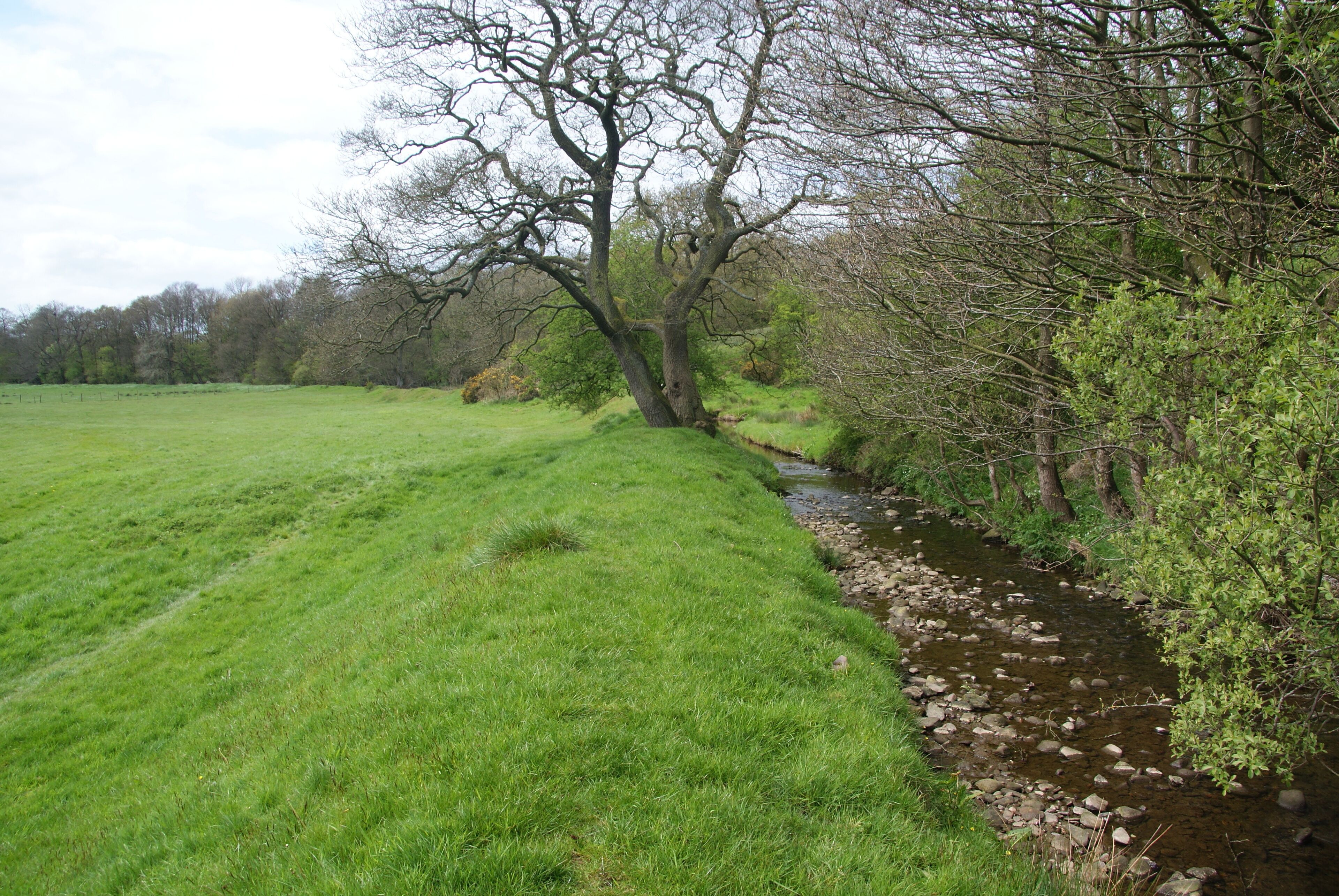 The Duddel Brook near Ribchester