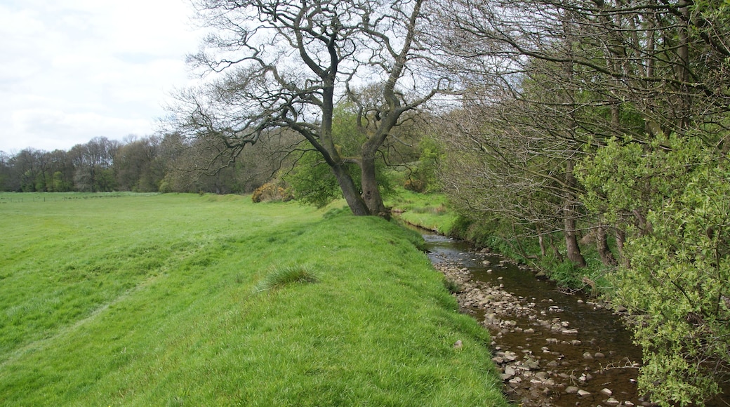The Duddel Brook near Ribchester