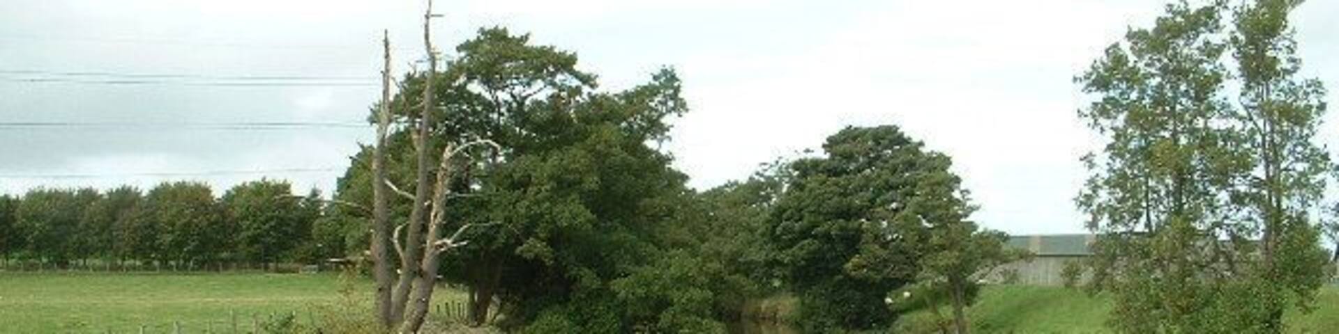 River Wyre, near Scorton. Looking north, taken from the start of the Millennium Walk between Scorton and Gubberford Bridge.