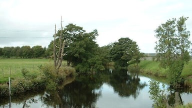 Une rivière paisible, bordée d’arbres dont le reflet se mire dans l’eau, entourée de verdure et d’une clôture.