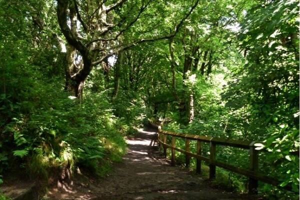 Path through the clough