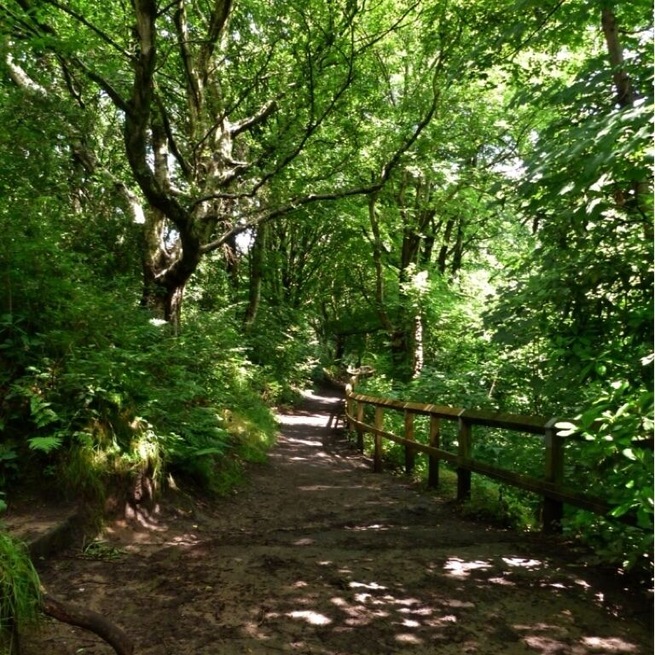 Path through the clough