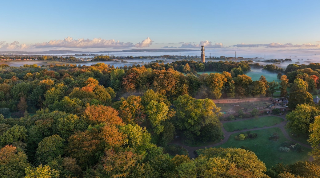 Aerial panorama of Heaton Park in autumn, colourful trees, Heaton Hall and BT Tower in morning mist at sunrise, Manchester, UK