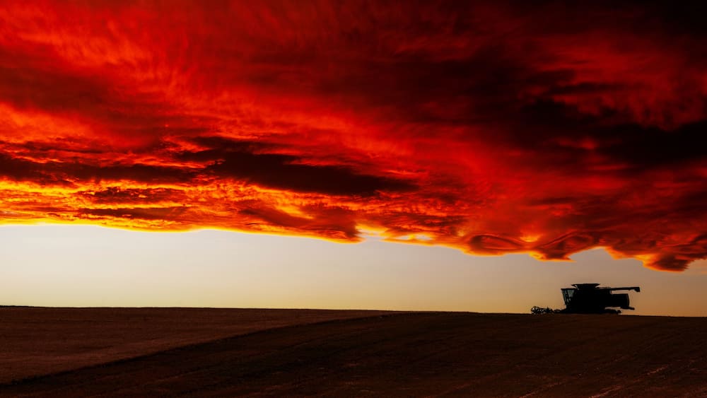 A harvest combine harvester silhouetted against a vibrant sunset sky.