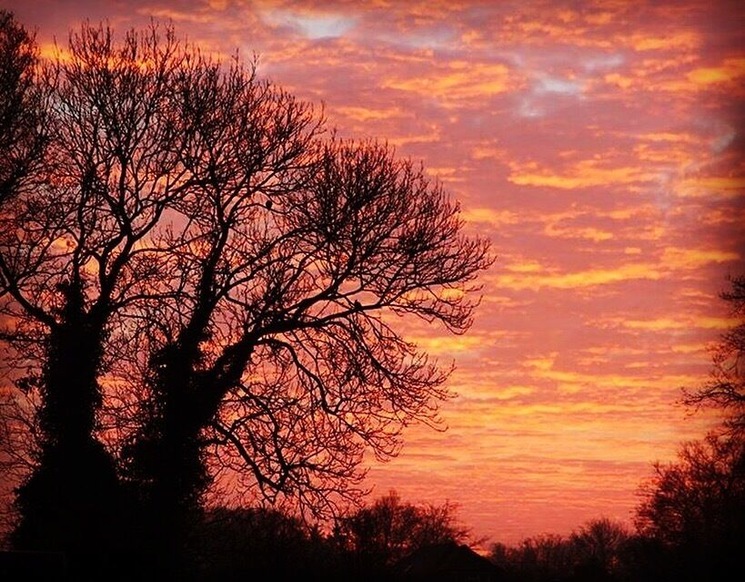 Sunsets always seem so dramatic & spectacular in the winter. 
#WinterWonders