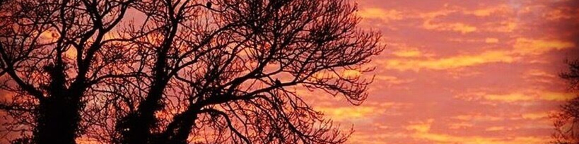 Sunsets always seem so dramatic & spectacular in the winter.
#WinterWonders