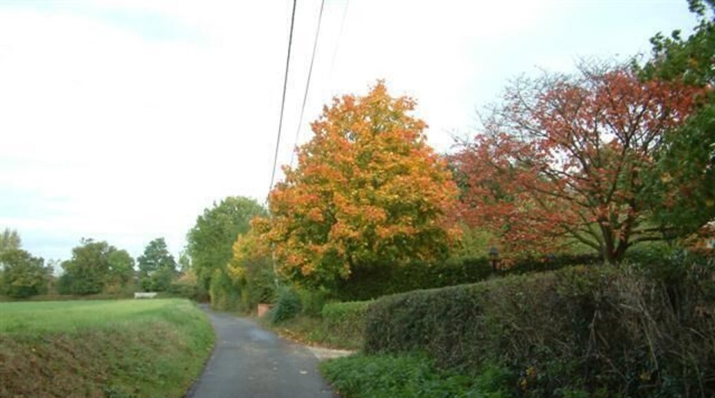 Spring Lane, Swallowfield. Spring Lane, Swallowfield, showing the signs of autumn.
