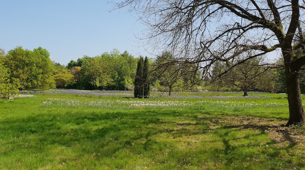 Harris Gardens, University of Reading. A view within the Harris Gardens, a botanic garden on the University of Reading's Whiteknight Campus, across the wildflower meadows.