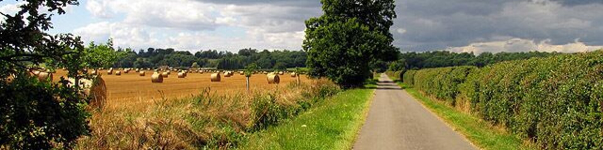 Lane looking towards Lambdens Wood. This is a view along the lane from the A4 towards Lambdens Wood, looking north west along the lane. The picture was taken opposite "Victoria Lodge".