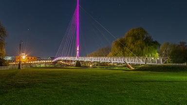 Uma ponte com uma torre central alta, uma lua crescente e um parque com grama e árvores.