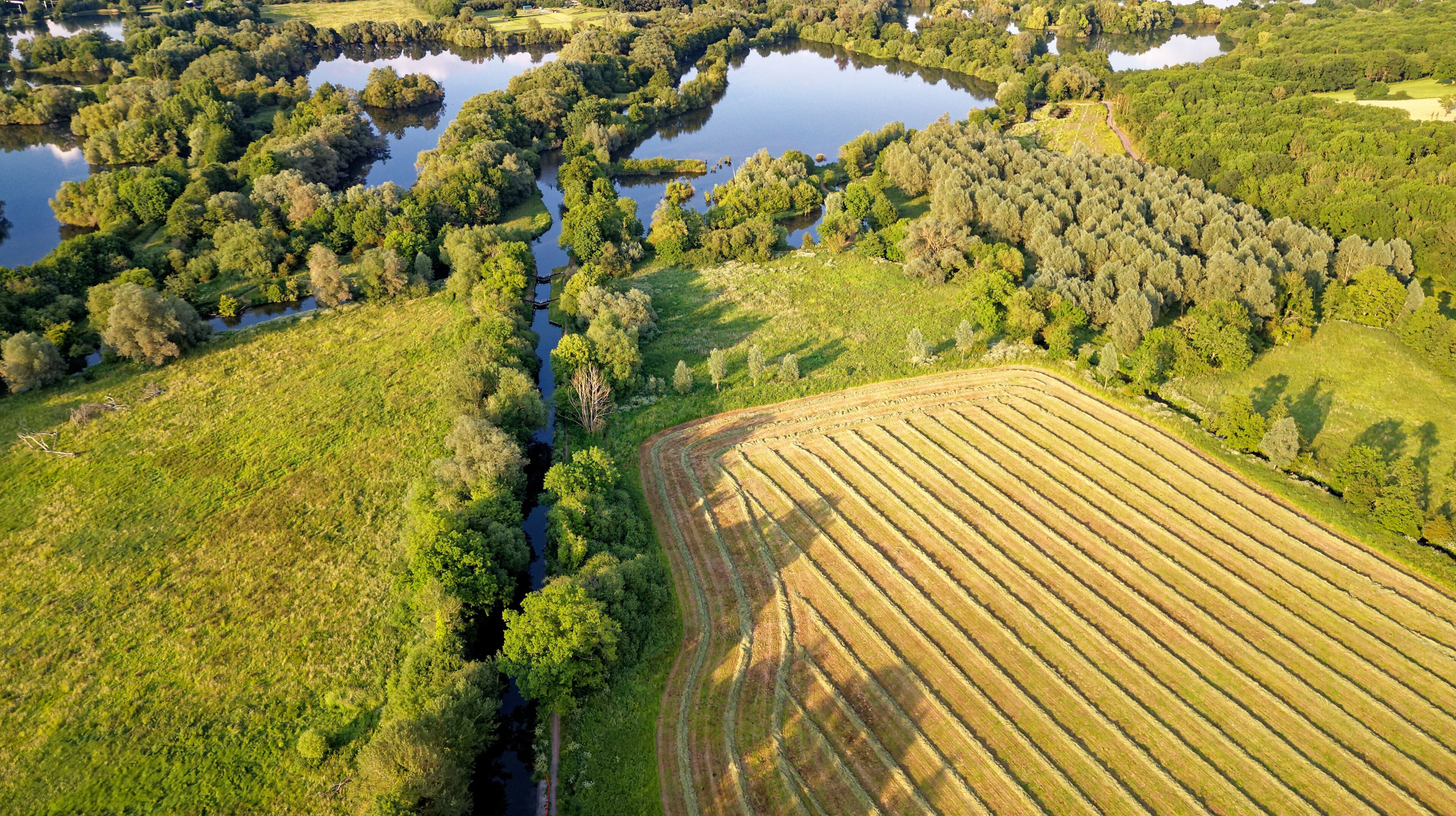A river meandering through a forested area with adjacent agricultural fields.