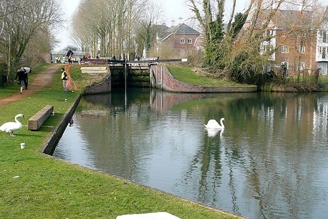 Aldermaston Wharf This is the original wharf (off to the right) on the Kennet navigation, now the Kennet and Avon canal, that served the village of Aldermaston, two miles to the south. Thus a small community grew up here in its own right. The lock was originally a turf-sided lock, like all of them on the Kennet navigation between Reading and Newbury. It was rebuilt in 1984 during the restoration of the canal. The flats have been built during the last few years on the site of the former Sterling Cables works. Various canoeists are seen practising for the Devizes to Westminster canoe race, that takes place over the Easter weekend. The swans ignore all the activity and go about their business.