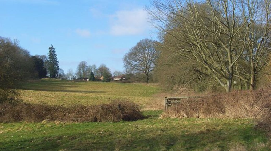Midgham Park Beside the footpath climbing up to the village from the park.