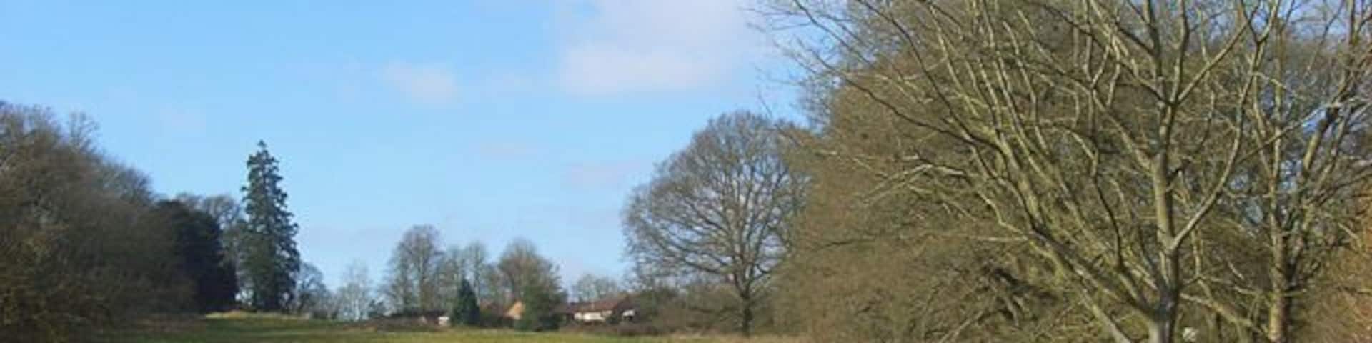 Midgham Park Beside the footpath climbing up to the village from the park.
