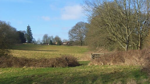 Midgham Park Beside the footpath climbing up to the village from the park.