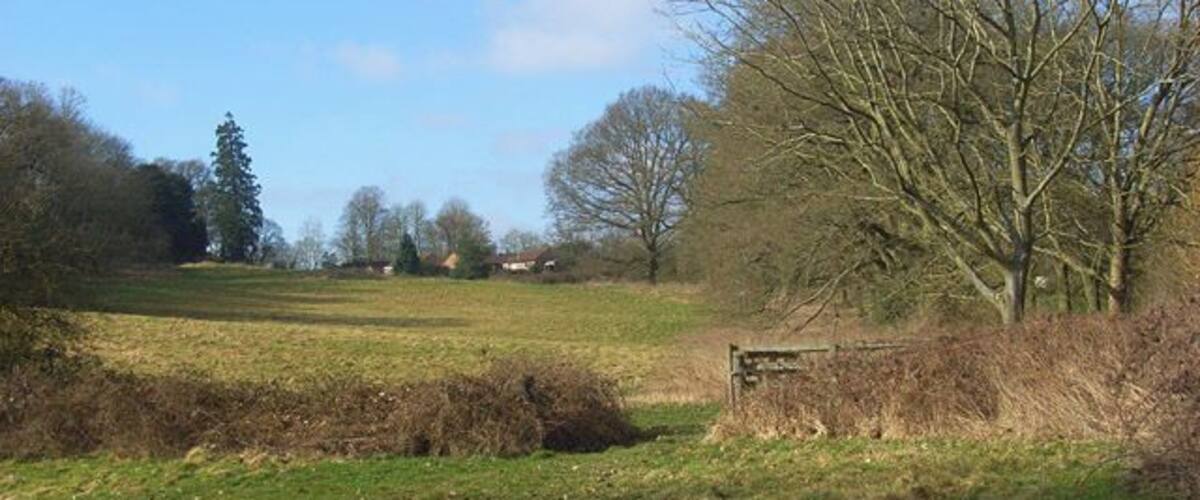 A rural landscape with a grassy field, a wooden fence, and leafless trees.
