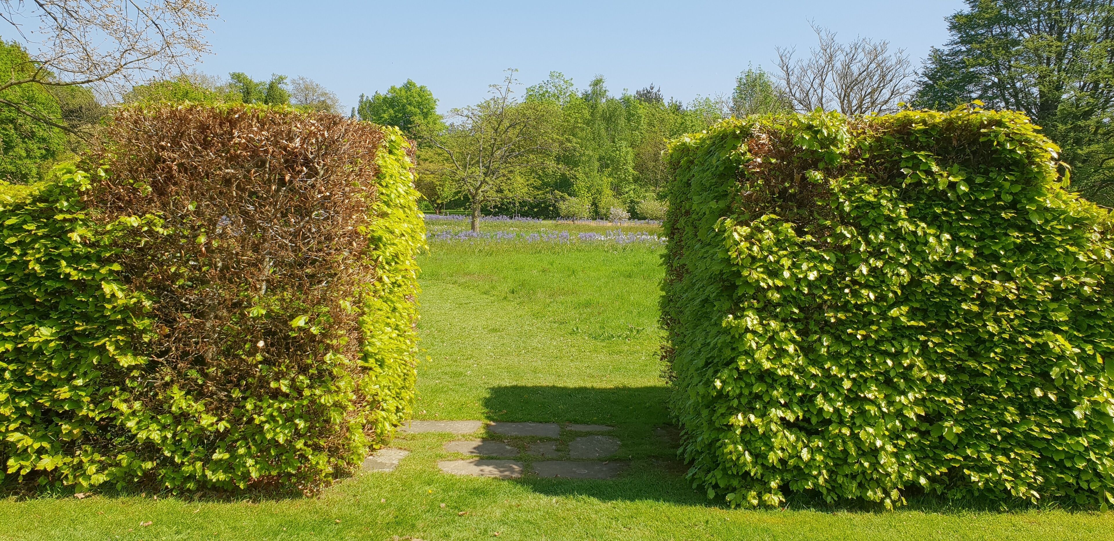 Harris Gardens, University of Reading. A view within the Harris Gardens, a botanic garden on the University of Reading's Whiteknight Campus, from the formal garden towards the wildflower meadow.