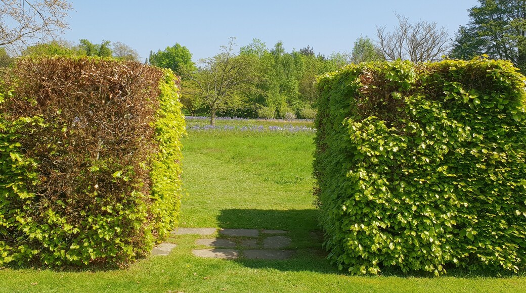 Harris Gardens, University of Reading. A view within the Harris Gardens, a botanic garden on the University of Reading's Whiteknight Campus, from the formal garden towards the wildflower meadow.