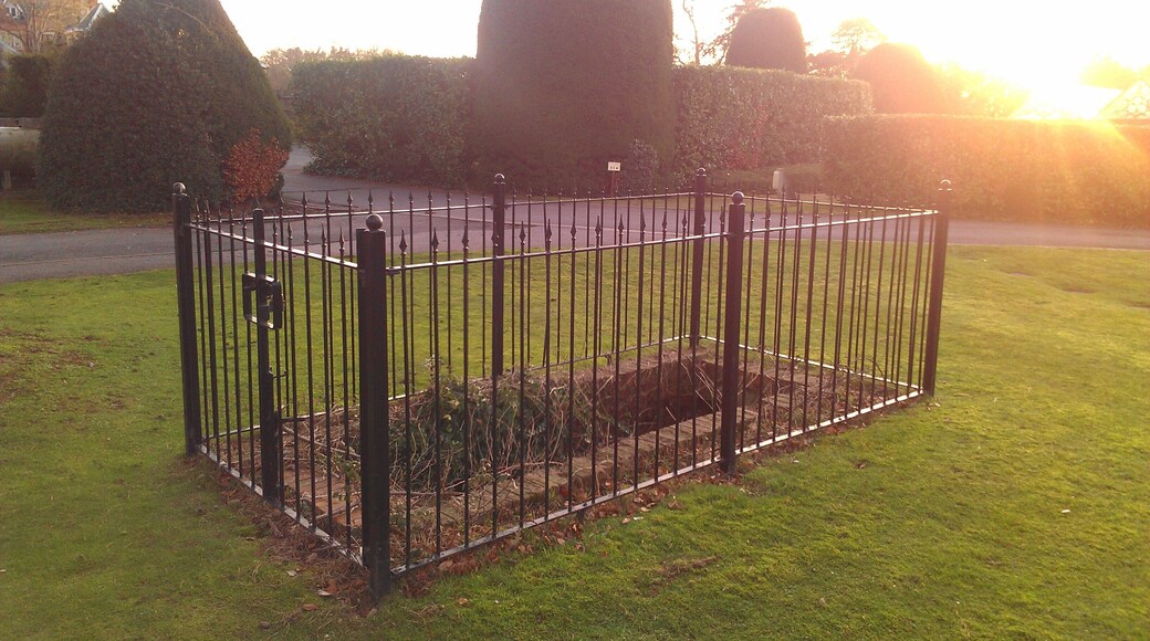 Staircase to old Aldermaston House cellar