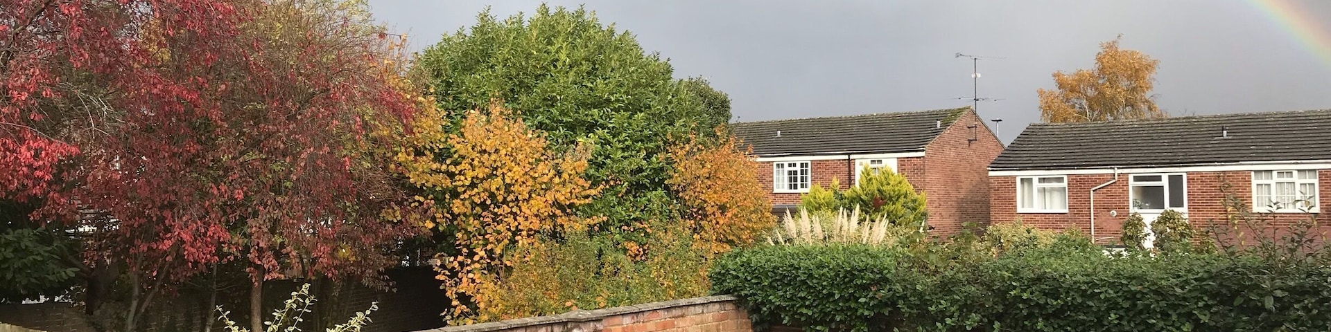 Rainbows on a grey sky from my garden beautiful against the autumn colours