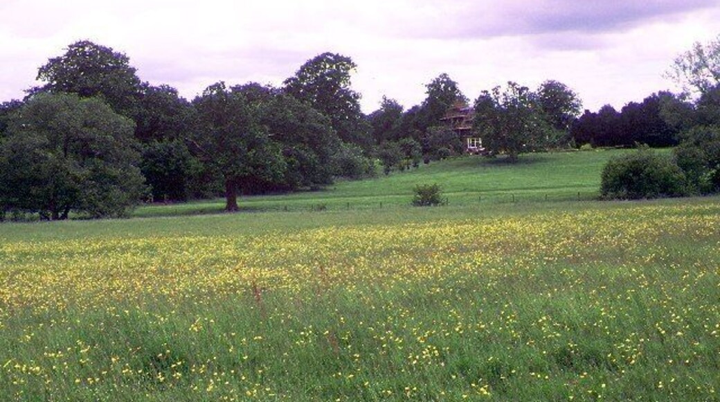 Stanlake Park. The estate dates back to the sixteenth century. Part of it is currently devoted to wine production, apparently with some success. Some of the product is sold at Reading Farmers Market.