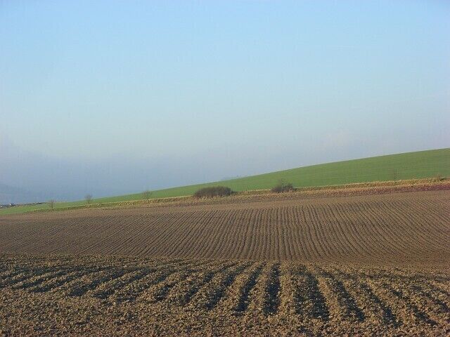 Farmland, South Stoke Looking across the slight valley between Watch Folly and White Hill. This is gently rolling countryside of expansive arable fields between the Thames and the steeper ground of the Chilterns.