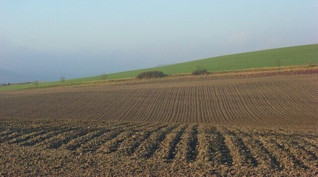 Farmland, South Stoke Looking across the slight valley between Watch Folly and White Hill. This is gently rolling countryside of expansive arable fields between the Thames and the steeper ground of the Chilterns.