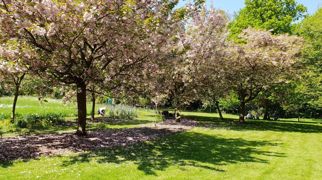 Harris Gardens, University of Reading. A view within the Harris Gardens, a botanic garden on the University of Reading's Whiteknight Campus, showing part of the Cherry Circle.