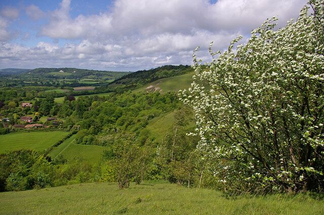 A lush green valley with rolling hills, a flowering tree, and a distant village.
