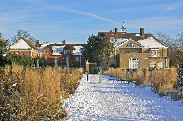 A snow-covered pathway leading to a row of houses with a clear blue sky.