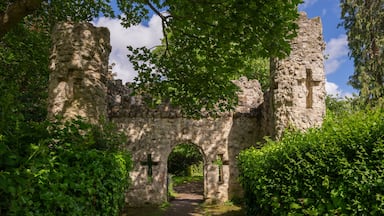 Un antiguo arco de piedra rodeado de exuberante vegetación.