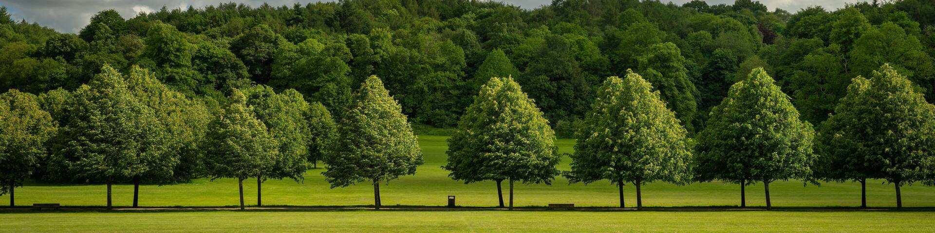 Priory Park in Reigate, Surrey, UK. This public park is close to Reigate town centre and features woodland, grass areas, a lake and visitor facilities.