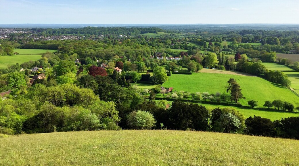 England's green and pleasant lands.