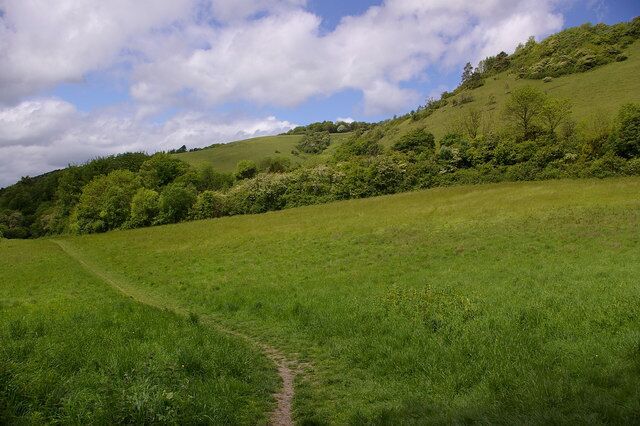 A grassy field with a dirt path leading up a hill.
