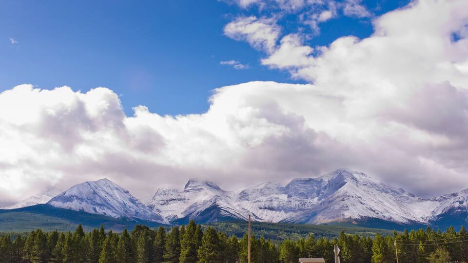 A mountain range with snow-capped peaks, a clear blue sky, and a forested foreground.