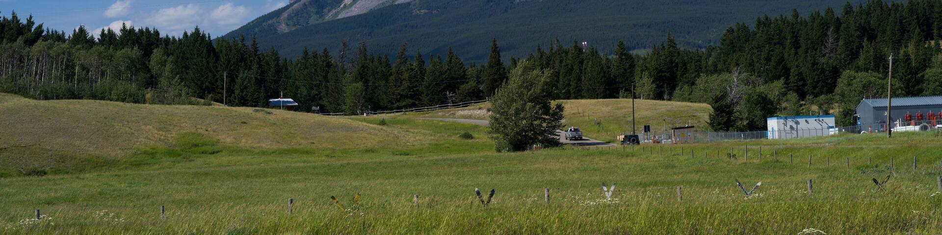 Crowsnest Mountain seen from meadow, Coleman, Alberta, Canada